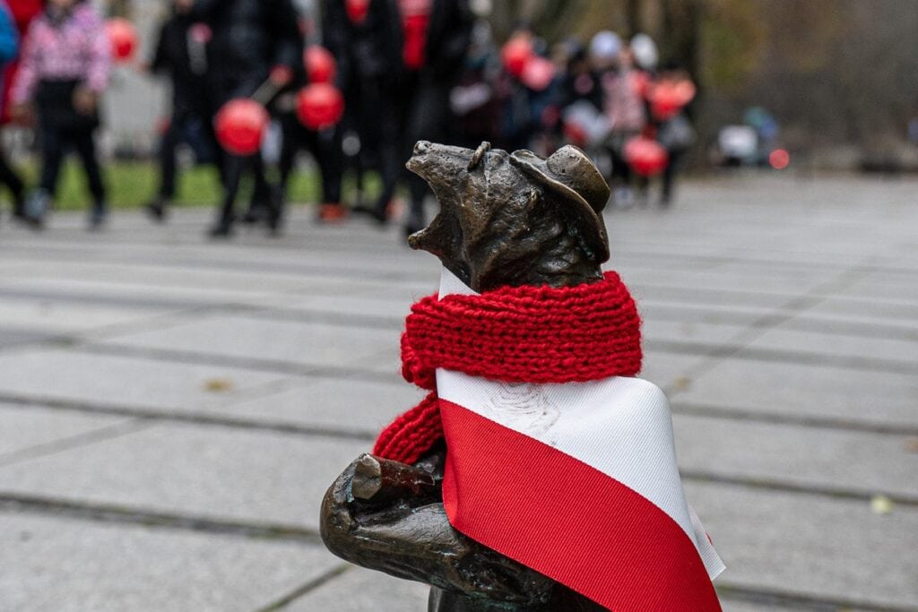 Białystok misie