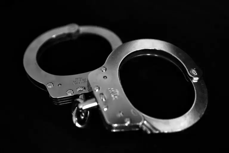 Łowcy Cieni zatrzymali poszukiwanych