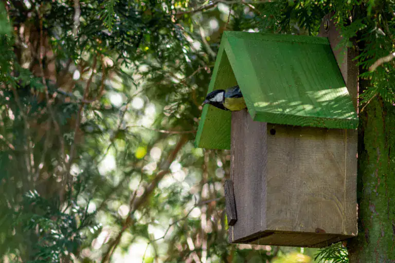 budki lęgowe dla ptaków Białystok