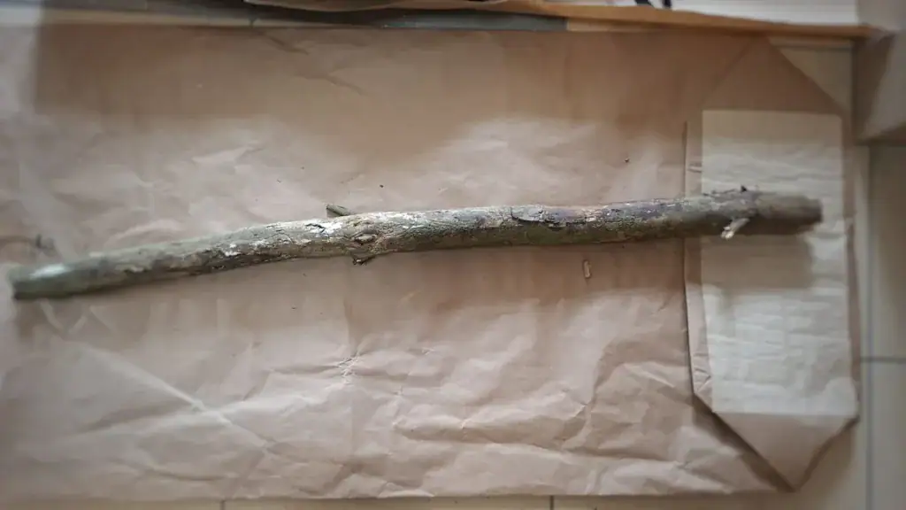 usiłowanie zabójstwa w Grajewie