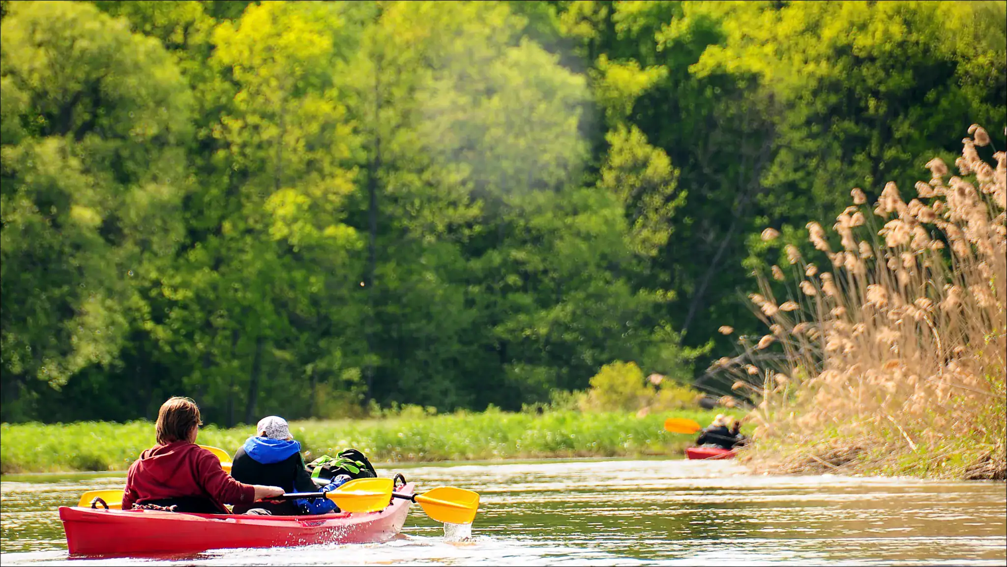 Podlaski bon turystyczny