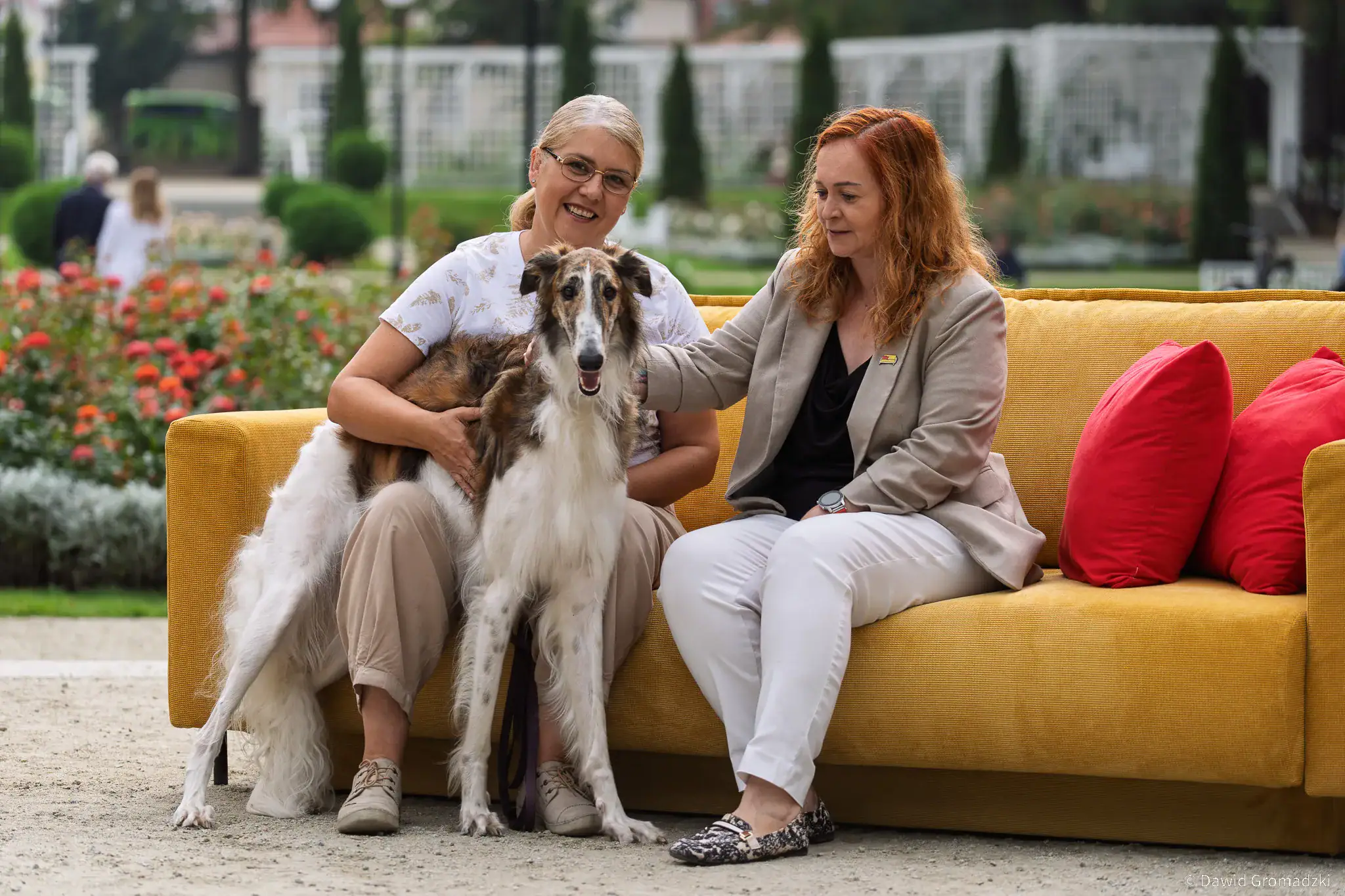 Dzień Żółtej Kanapy Białystok 2025