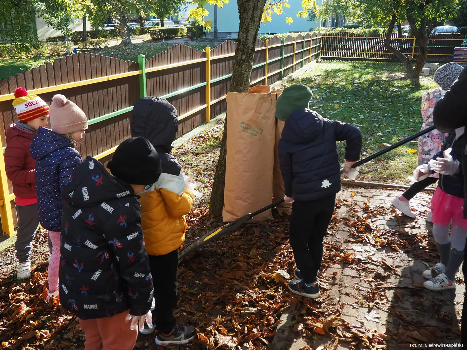 Ratujmy białostockie kasztanowce