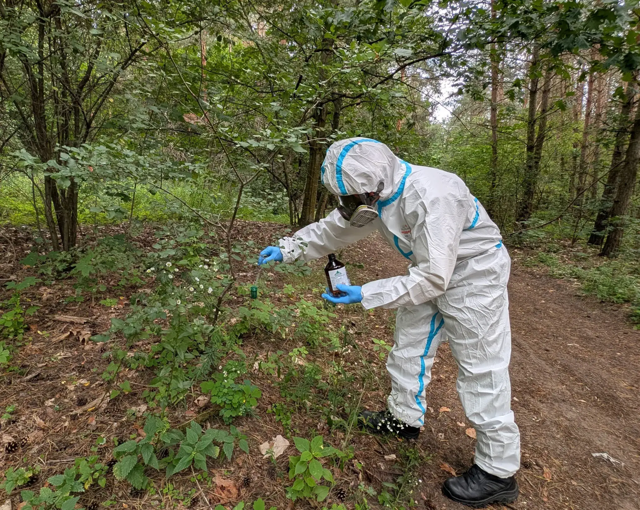 odstraszanie dzików Białystok