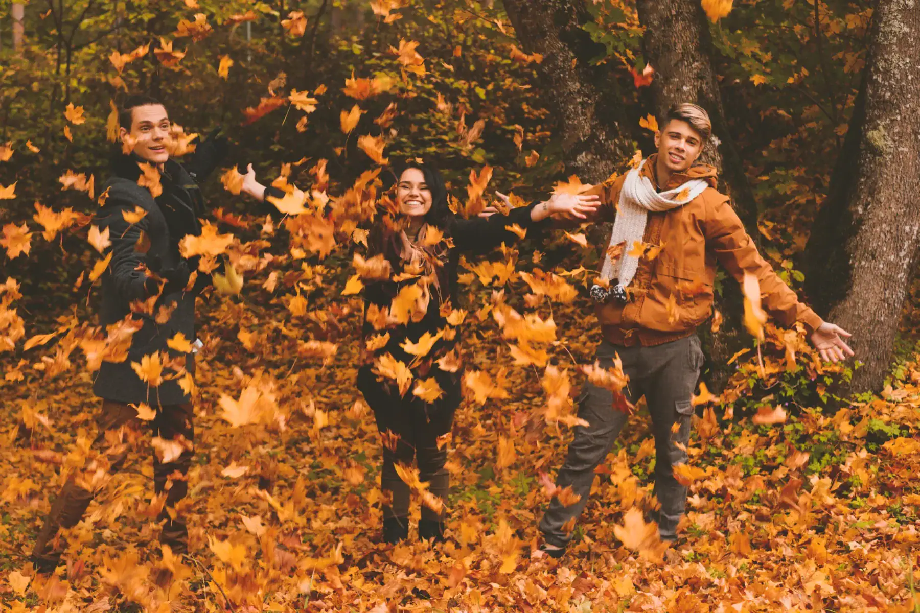 jarmark na Kawaleryjskiej Zielono i smacznie