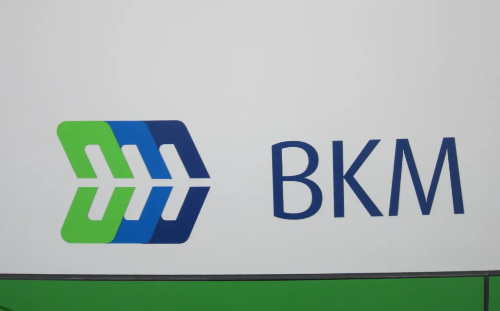 strona BKM nie działa