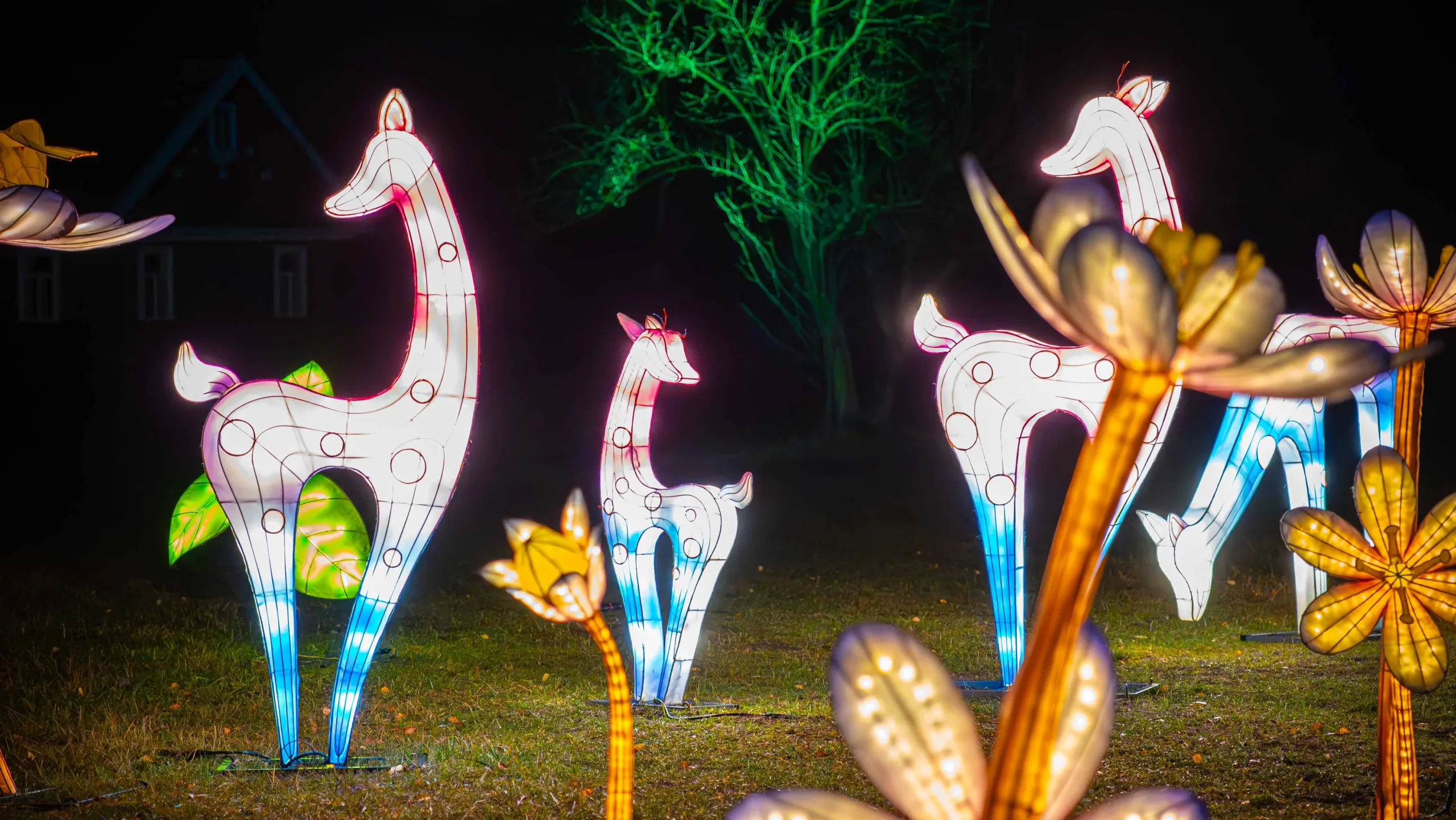 park iluminacji Białystok